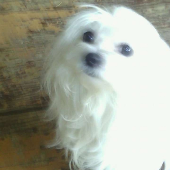 Meet your Posher, Cynthia - Picture 8 of 16